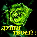 Елена Горбаль