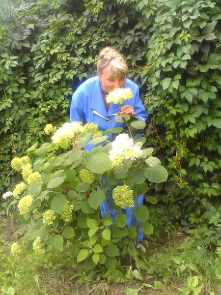 Татьяна Евтушенко