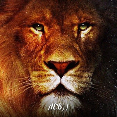 Татьяна Калугина