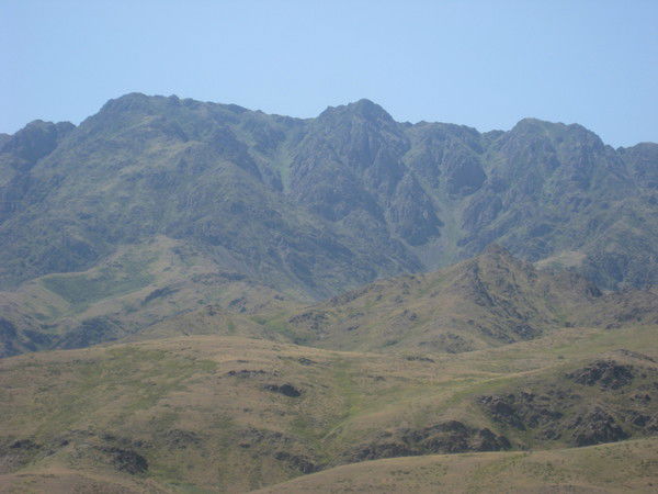 Даник Скакович