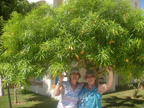 Галина Низовцева