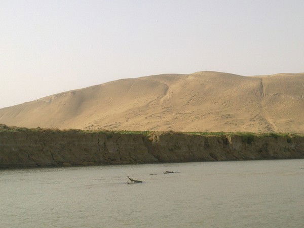 Джерена Куламанова