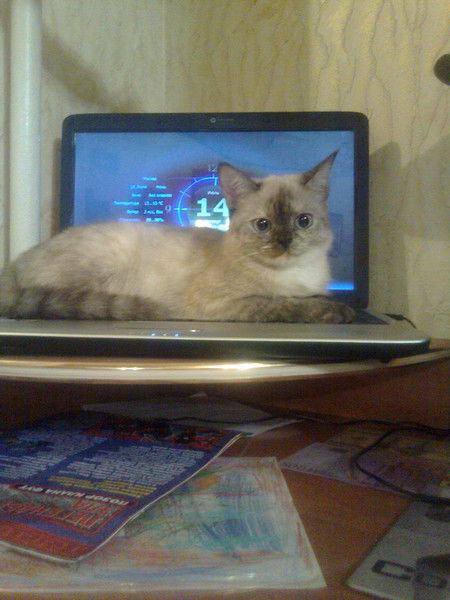 Наталия Ната