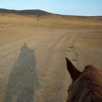 Ирина Крылосова