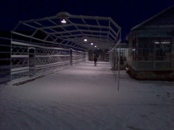 Абдуррахман Бинтахир