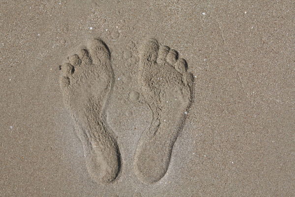 Евгения Ворохова