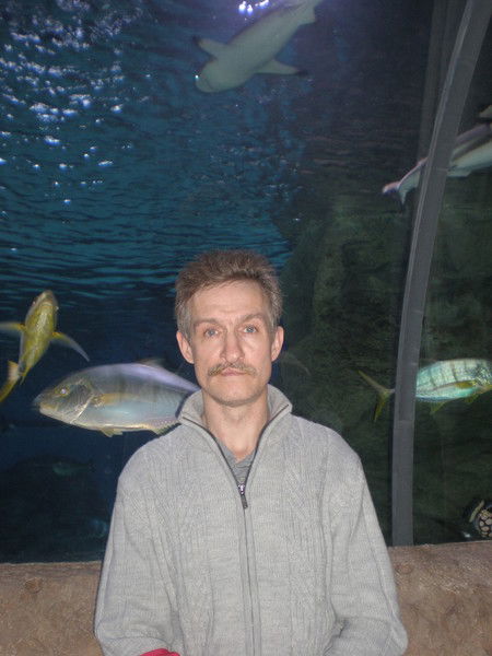 Александр Артамонов