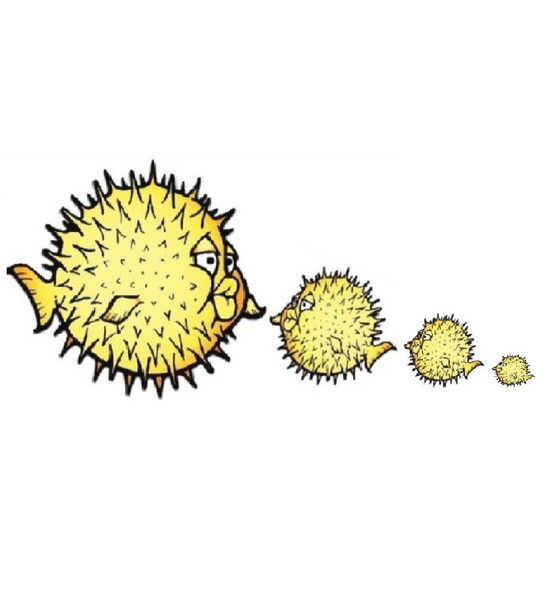 Антон Дирлугян