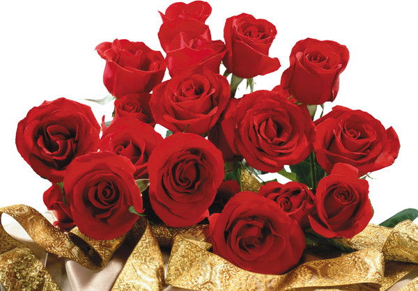 Агибаш Хасанова