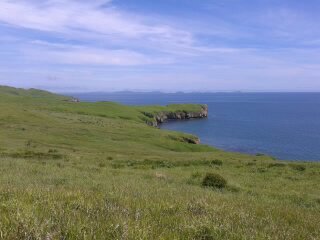 Вагиф Махмудов