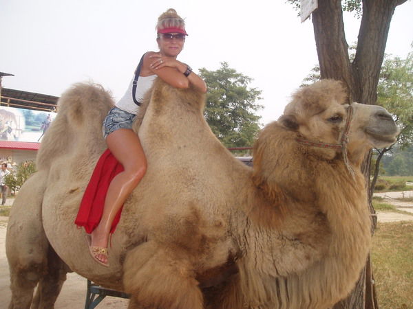 Зутаал Полевая