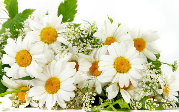 Арада Непова