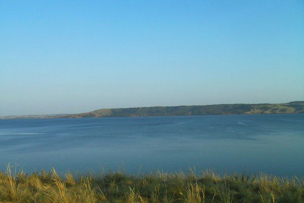 Инфо Партнер