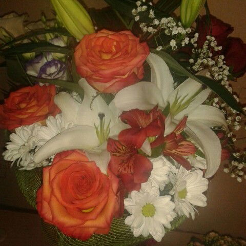 Ольга Овчинникова