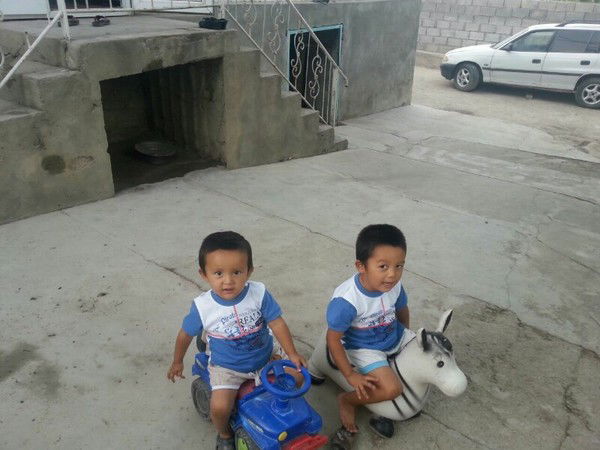 Замир Алиев