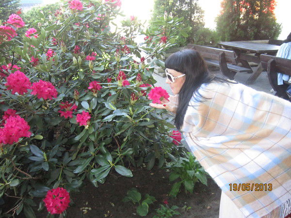 Елена Литвищенко