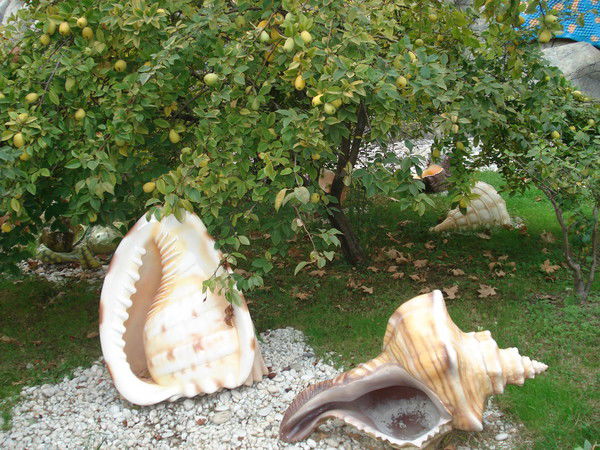 Виталий Петерсон