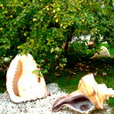 Виталий Петерсон