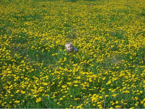 Ольга Орлова