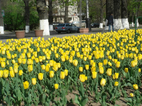 Екатерина Бутакова