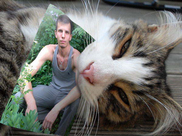 Ваня Гречко