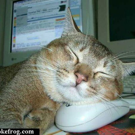 Наталья Катрич