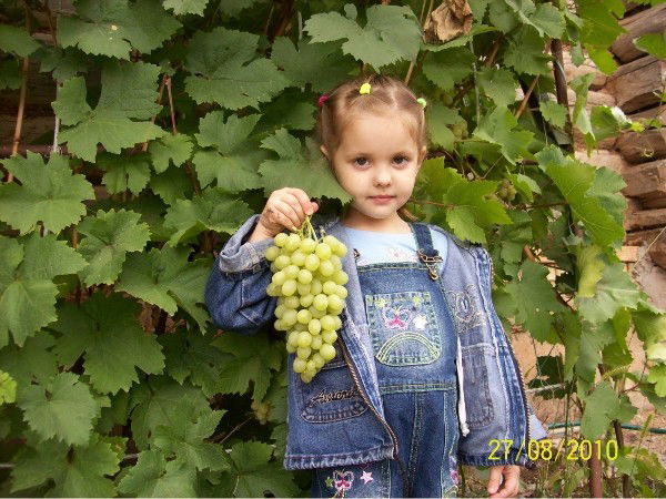 Радик Сагитов