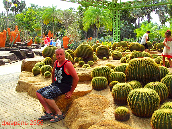 Александр Гостевских