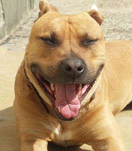 Сергей Кобзаренко