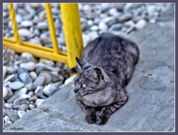 Виктор Егоров