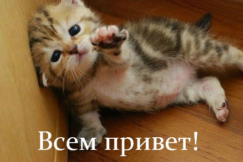 Галина Морозова