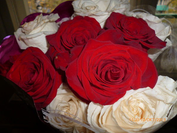 Ольга Аникина