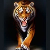 Никита Федоров