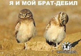 Тимур Карданов