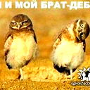 Тимур Карданов