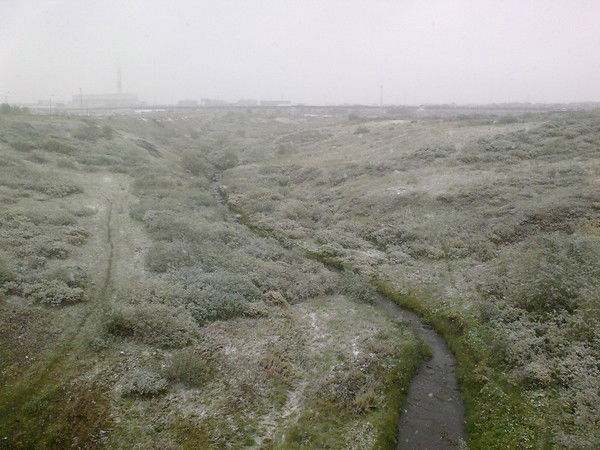 Гбуз Рк Вбсмп Город Воркута