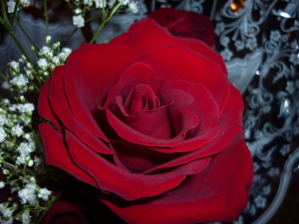 Ирина Глухова