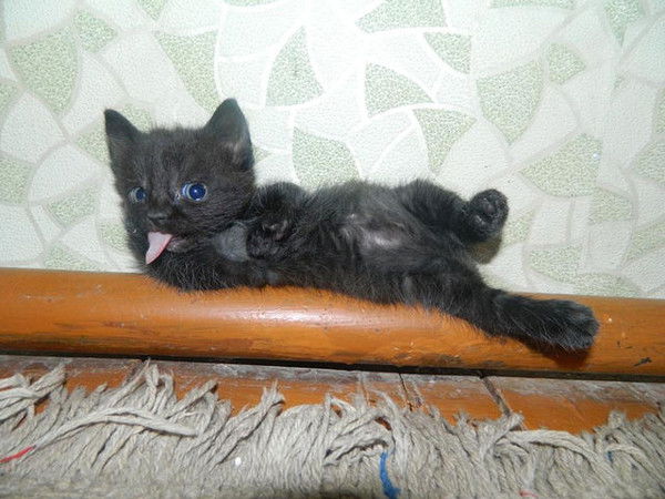 Ася Курбанова