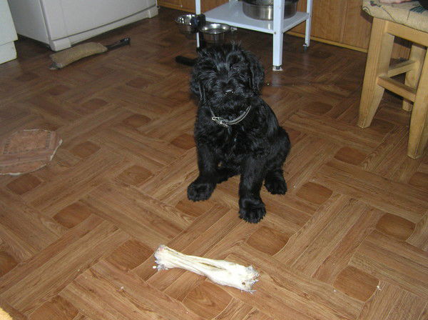 Светлана Уткина