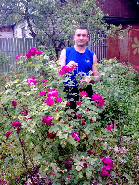 Алексей Пан