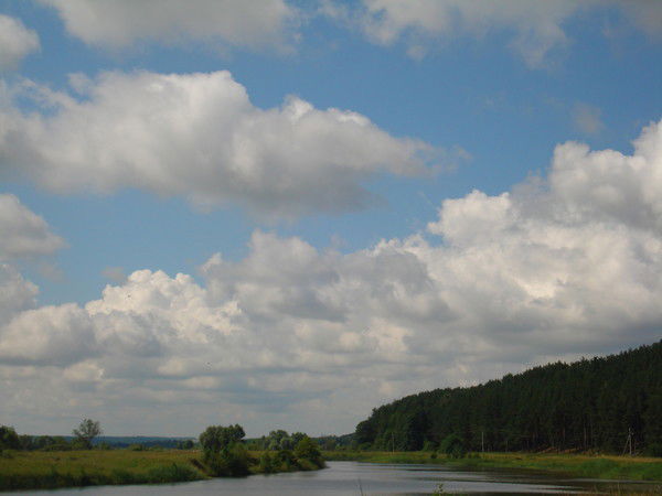 Елена Воробьева