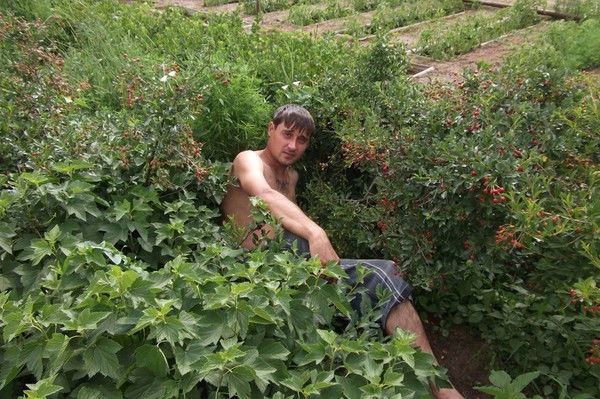 Виталий Коваль