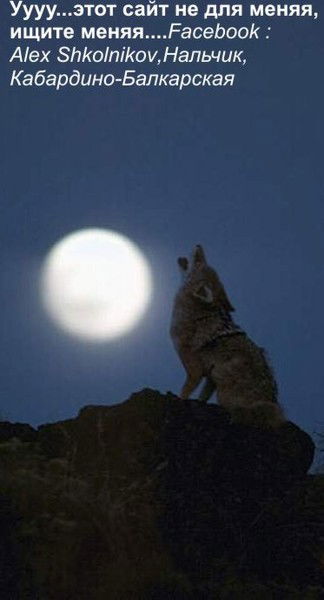 Александр Школьников