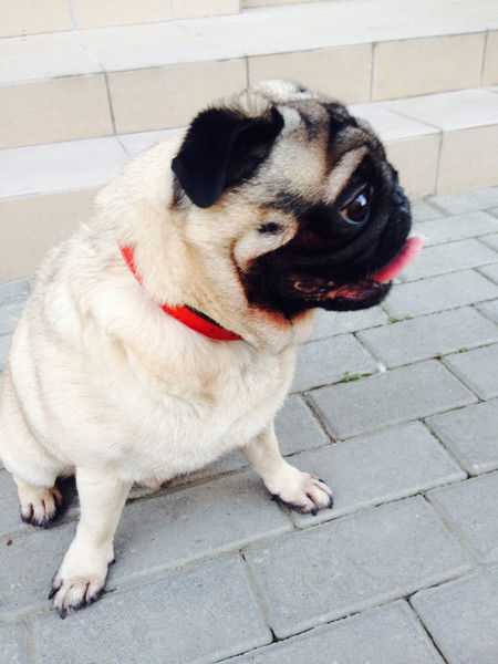 Наталья Белорусова