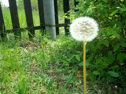 Екатерина Фомина