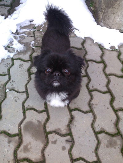 София Мартынова