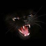 Марина Сапрыкина