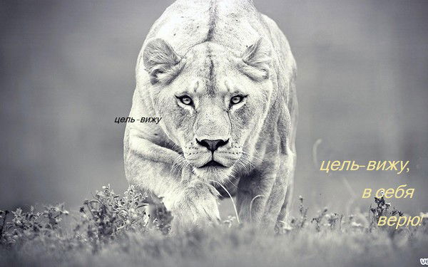 Ольга Гребенщикова Головко