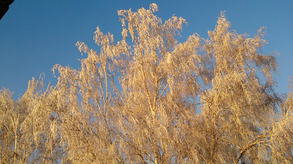 Виктория Виктория