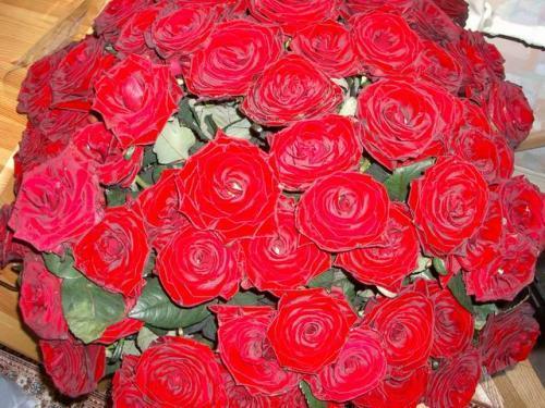 Физаллия Насипова